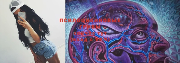 трава Алексин