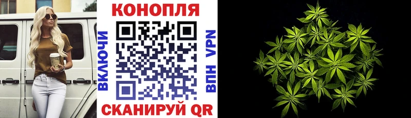 Марихуана SATIVA & INDICA закладки Тверь